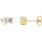 saveongems Jewelry 1 1/6 ctw (5 x 3.5mm) / SI G-H / 14K Yellow Two-Stone Stud Earrings