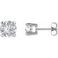 saveongems Jewelry 6mm / 14K White 14K Round Forever One Moissanite Earrings